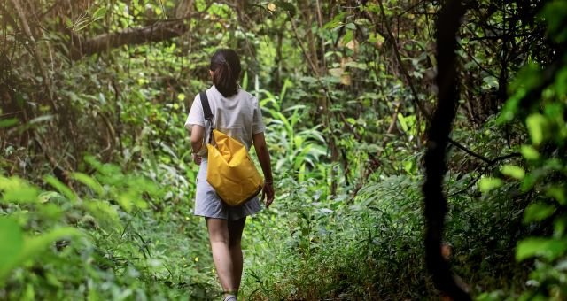 Where Fun Never Logs Out: Exploring the Ultimate Gaming Experience